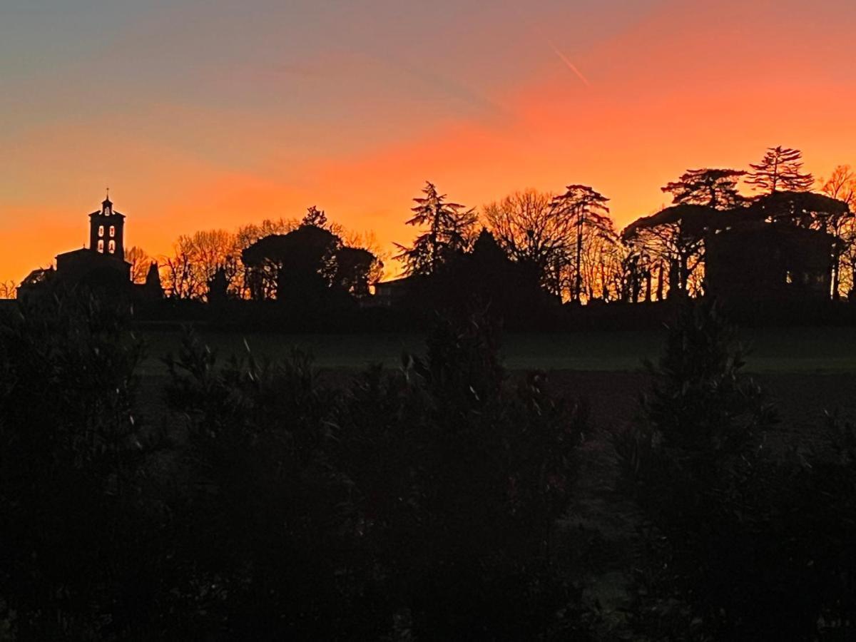 Villa Toscane Creations A 20 Mn De Toulouse Azas エクステリア 写真