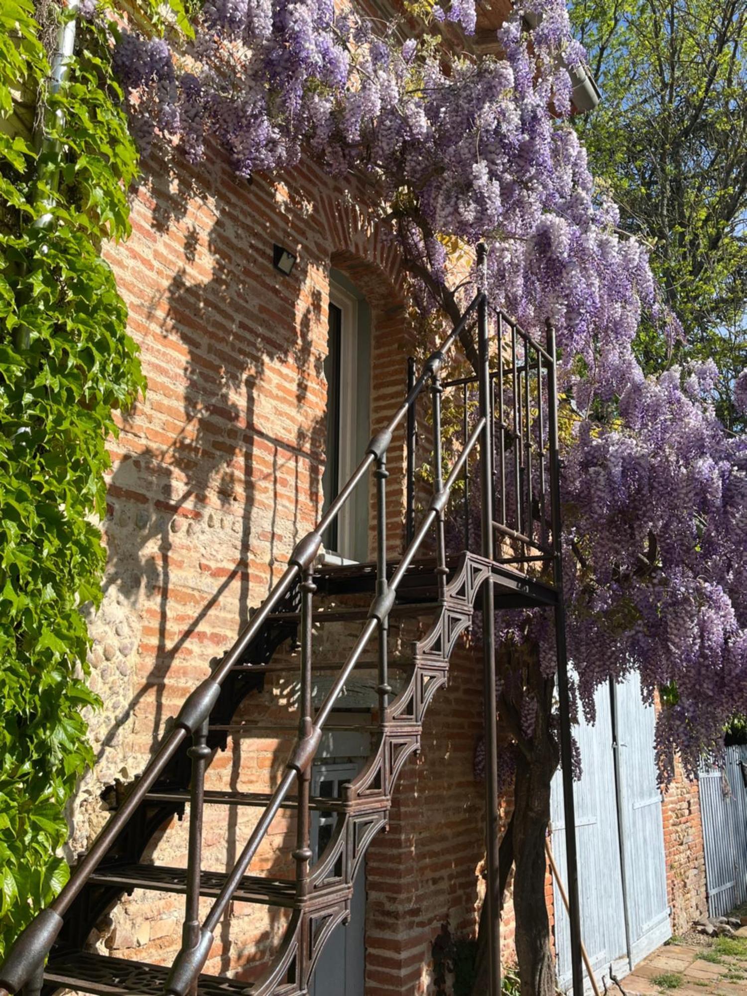 Villa Toscane Creations A 20 Mn De Toulouse Azas エクステリア 写真